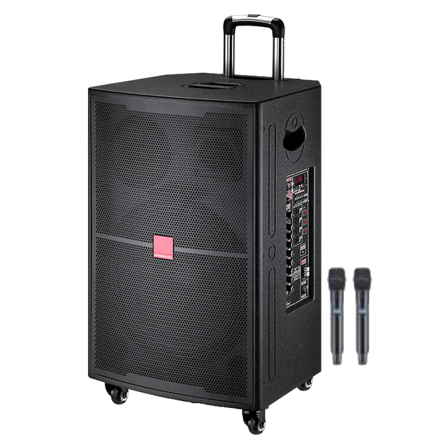NEW ARRIVAL Big Bass 200W 15 Inch OEM Trolley Speaker Good Sound With 12V/12A Battery BT USB SD FM Microphone Function