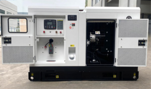 Leton điện perkinsricardocummins 3 giai đoạn ngành công nghiệp DIESEL Máy phát điện 15kVA 20kva 50kva 100kva 200kva 300kva kW - Product Image 4