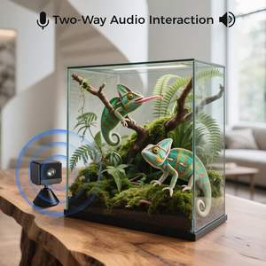 3MP CMOS 传感器窗式摄像头 2.4GHz WiFi6 室内家庭安全，带双向音频、夜视、运动检测功能 - Product Image 5