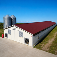 Bâtiment d'élevage de poulets de chair en structure métallique préfabriquée avec système de silo à alimentation pour l'agriculture et l'élevage
