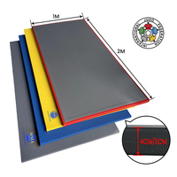 Tapis de judo LINYIQUEEN Premium, absorption des chocs, 2m*1m, personnalisable en fonction du lieu, lavable et imperméable, pour judo et boxe