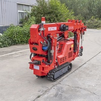 Mini-grue araignée diesel-électrique avec moteur CE Euro V, nacelle pour personnel, flèche de levage et ventouse à vide pour verre