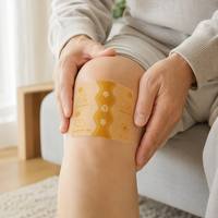 Patch de Glucosamine et Chondroïtine pour Soulager les Douleurs Articulaires, 5 pièces/boîte, Pansement Herbal de Moxibustion pour Genoux, Cou, Taille, Utilisation Universelle sur le Corps