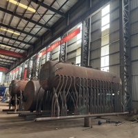 Chaudière à combustion multi-combustibles DZL 2 tonnes à haute isolation et antirouille, adaptable pour atelier de briques et de ciment