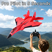Avion RC 44 cm en mousse EPP, 1 batterie, prêt à voler, avion télécommandé, boîte de vente au détail, prêt à voler