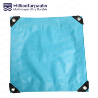 Bâche en plastique robuste pour jardin, camion, bateau, niche pour chien, voiture, bâche tissée en polyéthylène, bâche en HDPE