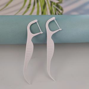 Flossers dentaires orthodontiques professionnels nouveauté menthe Nylon nettoyage des dents orales choix OEM <span class=keywords><strong>Pantone</strong></span> couleurs pris en charge - Product Image 1