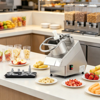 Commerciële automatische restaurant-gebruikte industriële elektrische groente- en fruit snijmachine, kleine groentesnijder/hakselaar