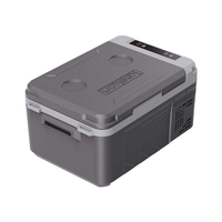 Mini-réfrigérateur portable moderne de 9 L à grande capacité, 12 V/24 V, avec compresseur DC à zone unique pour le stockage alimentaire et le camping en voiture