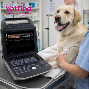 Système d'échographie Doppler couleur portable pour vétérinaires, équipement médical à ultrasons pour service complet - Product Image 1