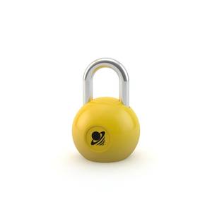 Premium Quality Circle Padlock Hot Selling New Decorative Padlocks And Lock Sets - Product Image 5