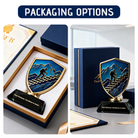 Trophées Métalliques Personnalisables en Émail pour Entreprises, Plaques d'Honneur d'Anniversaire d'Équipe, Récompenses de Reconnaissance Commerciale, Souvenirs Annuels pour Employés