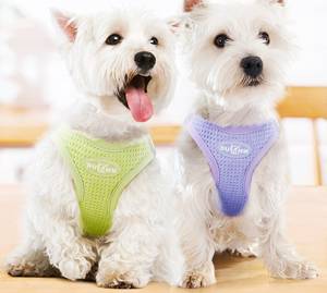 YG-898 Rompi <span class=keywords><strong>Harness</strong></span> Hewan Peliharaan Bergaya Kartun dengan Bantalan Empuk dan Kain Nilon Spons Waffle 4mm 360g - Product Image 5