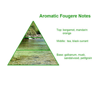 Più popolare concentrato di creed marca d'argento di montagna acqua alla rinfusa profumo olio per profumatore di profumo che fa il prezzo di fabbrica - Product Image 2