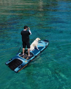 Rampa Flotante Larga para Perros para Aguas Oceánicas - Se Aceptan OEM/ODM, Fácil de Transportar - Product Image 5