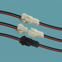 Cable de Conexión de Cobre Estañado Duradero, Modelo SM2.54, Terminales de Acoplamiento 2P, Longitud Personalizable, para Pantallas LED y Fuentes de Alimentación