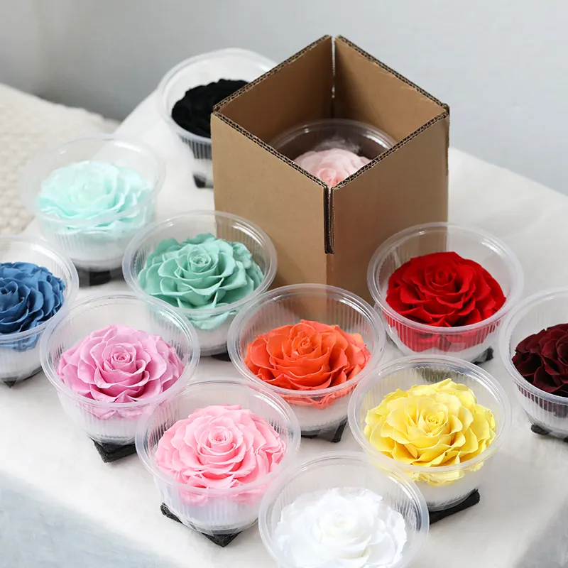La mejor calidad 11-12 cm Todos los colores conservados para siempre Cabeza de rosa para hacer cajas de flores DIY