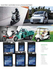 48V 60V 76V 30ah <span class=keywords><strong>2</strong></span> Wielen Ev Lithium Ion Accu Scooter Motorfiets Batterij Met Bms - Product Image 6