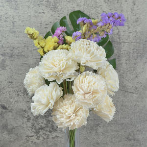 Fragranza profumata sfusa del diffusore della canna dei fiori di legno di <span class=keywords><strong>Sola</strong></span> N-0216 per la decorazione domestica - Product Image 6