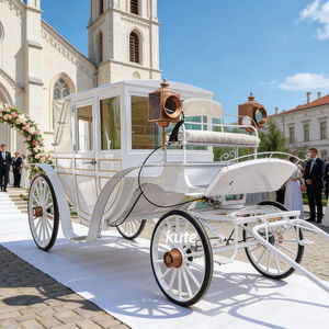 Calèche royale/Idéale pour les célébrations et les événements/Fournit une personnalisation sur mesure pour le luxe - Product Image 1