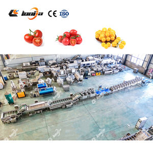 Línea Automática de Lavado y Secado de Tomates <span class=keywords><strong>Cherry</strong></span> de 2000 kg/h, Máquina Industrial de Limpieza de Frutas, Lavadora de Vegetales por Burbujas - Product Image 4