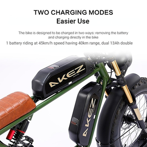 Vélo Électrique Tout-Terrain S1 2023 Rétro Vintage USA en Stock, Double Batterie, Longue Portée 100KM, Pneus Larges 20 Pouces, 750W 48V - Product Image 5