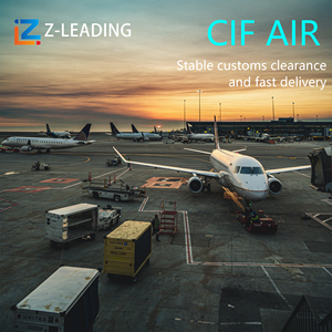 อัตราการเติมเต็มค่าบริการภาษีศุลกากรการจ่ายค่าจัดส่งการคำน<span class=keywords><strong>วณ</strong></span>ต้<span class=keywords><strong>น</strong></span>ทุ<span class=keywords><strong>น</strong></span>การส่งออก ICS CIF Air Freight sedi Singapore - Product Image 2