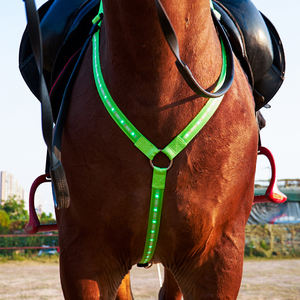 Tali kuda <span class=keywords><strong>LED</strong></span>, cahaya isi ulang dapat diatur keselamatan mengemudi visibilitas kuda berkedip tahan air untuk berkendara di malam hari - Product Image 3