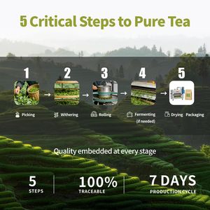 Té Verde Dong <span class=keywords><strong>Ting</strong></span> Biluochun de Primera Calidad, Té de Primavera, Nuevo, Envasado al Vacío, Bolsa de 1 kg, Caja, Hecho a Mano - Product Image 6