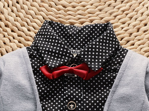 Ropa Infantil al por Mayor a Bajo Precio, Conjuntos de Otoño de 3 Piezas para Niños, Estilo Caballero - Product Image 2