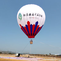 Ballon gonflable de publicité adapté aux besoins du client Ballon à air chaud gonflable commercial décoratif