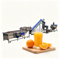 Ligne de production industrielle de jus d'orange avec épluchage automatique, extraction de jus et machine de remplissage aseptique en carton