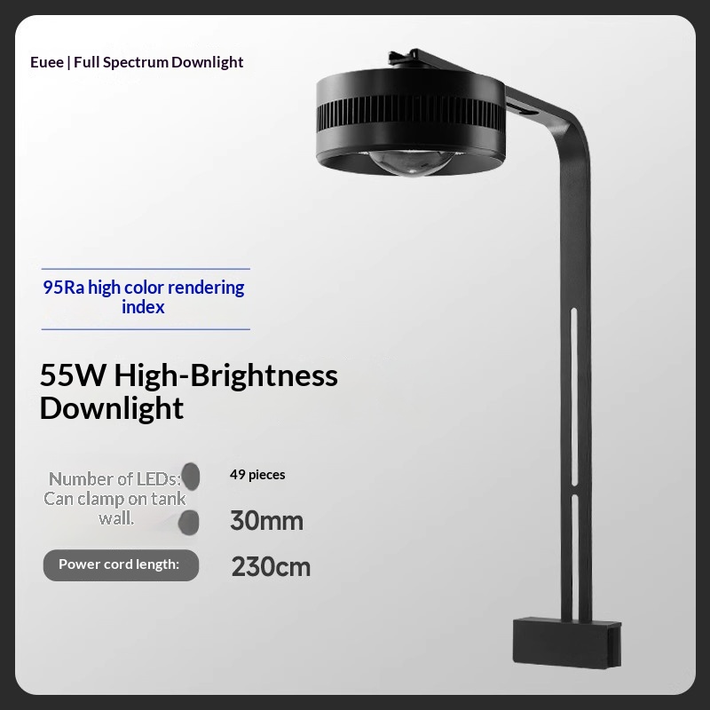 Support 55W