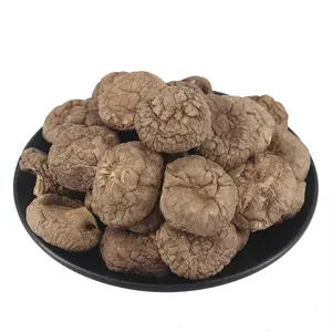 Wholesale high-quality Fujian produced mushrooms/stir-fried meat and soup ingredients Shiitake Mushrooms