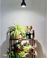 Ampoule LED PAR30 SKY Factory E27 12W 20W à spectre complet pour plantes, projecteur PAR30 en aluminium pour semis et croissance