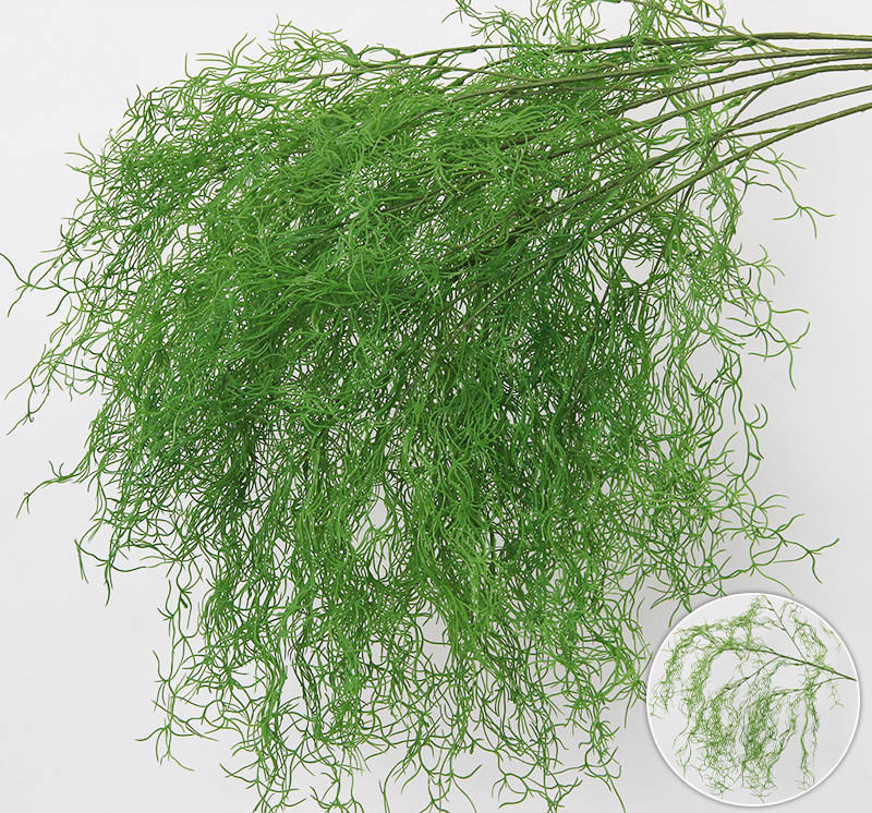 หญ้าปะการัง-เขียว/2