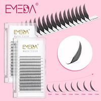 EMEDA Nouveaux éventails de cils préfabriqués imprimés en 3D, extensions de cils en vison volume personnalisé, style Anime Spire, plateaux de cils Manga Comic, marque privée