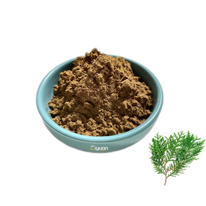 Extracto Natural de <span class=keywords><strong>Thuja</strong></span> <span class=keywords><strong>Orientalis</strong></span> (BO) en Venta, Extracto de Platycladus <span class=keywords><strong>Orientalis</strong></span> para el Cuidado del Cabello - Product Image 1