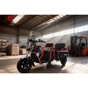 Motocicleta de 3 Ruedas para Carga, Taxi, Pasajeros, EEC, 2 Personas, Triciclo Eléctrico - Product Image 3