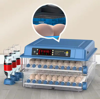 Incubateur d'œufs entièrement automatique pour l'éclosion des œufs, incubateur pour oiseaux, poulets, équipement d'élevage, accessoires d'incubation des poussins