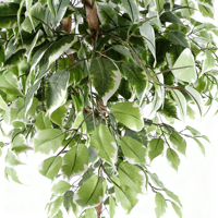 Arbre artificiel ficus vert à toucher réaliste en gros, plantes décoratives d'intérieur et d'extérieur pour la remise des diplômes, Noël, Pâques