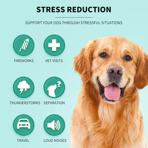 N4P fabrika doğrudan Max gücü sakinleştirici kenevir + çiğneme köpekler için kenevir tohumu yağı ve toz Valerian kök ile 270g anksiyete Barking için - Product Image 5