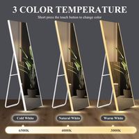 Miroir de Maquillage LED Rectangulaire Pleine Longueur Tendance 2025 Nouvelle Arrivée Moderne Autoportant Étanche en Aluminium IP44