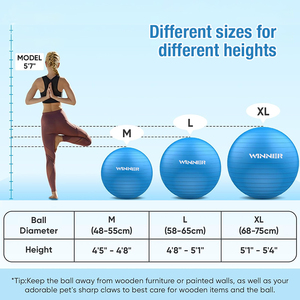 Logo OEM <span class=keywords><strong>de</strong></span> marque privée Sports personnalisés 55cm 65cm 95cm <span class=keywords><strong>Ballon</strong></span> <span class=keywords><strong>de</strong></span> yoga en PVC <span class=keywords><strong>avec</strong></span> pompe - Product Image 6