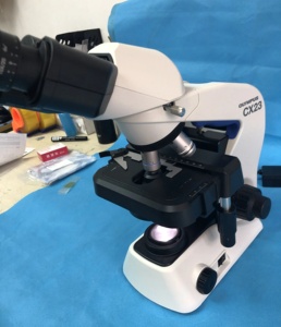 Microscopios Binoculares CX23 Olympus, Microscopios Electrónicos Digitales, Precios de Microscopios Ópticos Biológicos de Laboratorio - Product Image 3