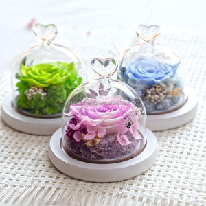 Cadeau souvenir bon marché dôme en verre rose pour toujours <span class=keywords><strong>fleurs</strong></span> durables roses roses éternelles conservées dans un dôme en verre avec lumière - Product Image 3