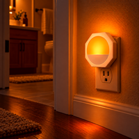 Veilleuse intelligente 1600K ambre, capteur de lumière automatique, lampe murale à intensité variable en continu pour chambre et couloir