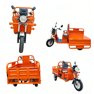 Chargeur de batterie personnalisé 60V grande capacité 1000W pour <span class=keywords><strong>tricycle</strong></span> <span class=keywords><strong>électrique</strong></span> à trois roues avec moteur central et boîte de chargement pour adultes - Product Image 4