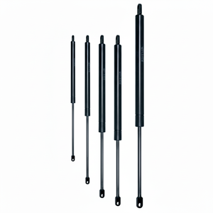 C 500 Course F 500 N CYLINDRE OLÉOPNEUMATIQUE (VO50/050) - Product Image 1