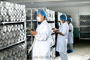 เครื่องทำเห็ดเห็ดสำเร็จรูปใช้งานง่าย เครื่องเพาะเชื้อเห็ด เครื่องฉีดเชื้อเห็ด - Product Image 5